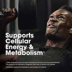 Optimum Nutrition Opti-Men Multivitamin – 240 Tablets, Daily Nutritional Support for Active Men (New)