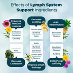 PUREHEALTH RESEARCH Lymph System Support – Lymphatic Drainage Supplement (60 Capsules)